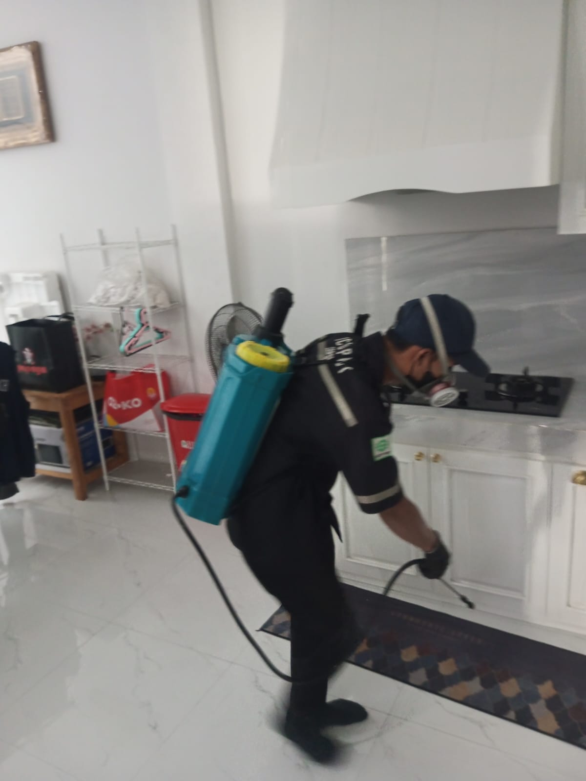 Jasa Anti Rayap Injection Profesional